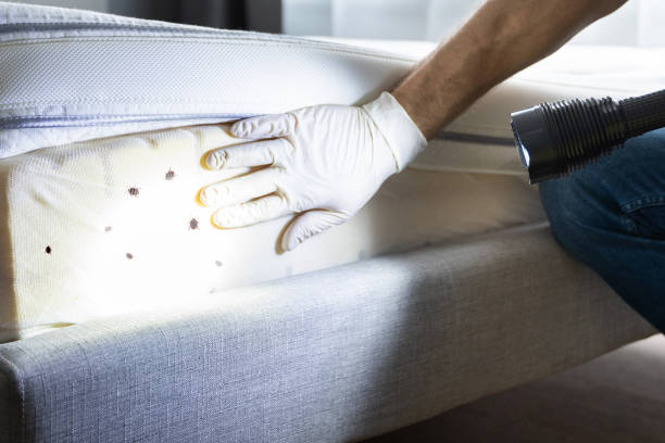Best Pest Control for Restaurants  in Farragut, TN